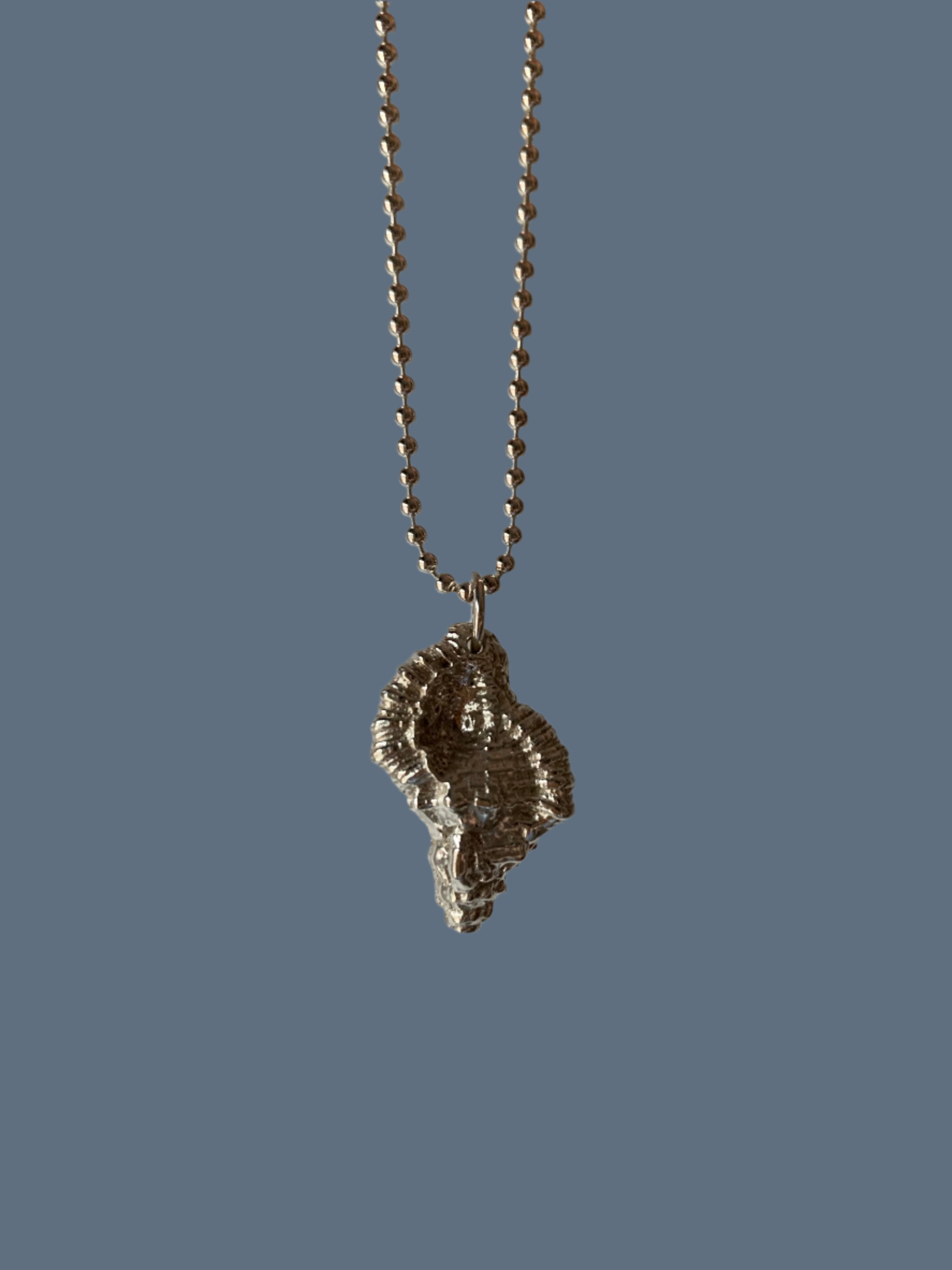 Pendentif coquillage Murex