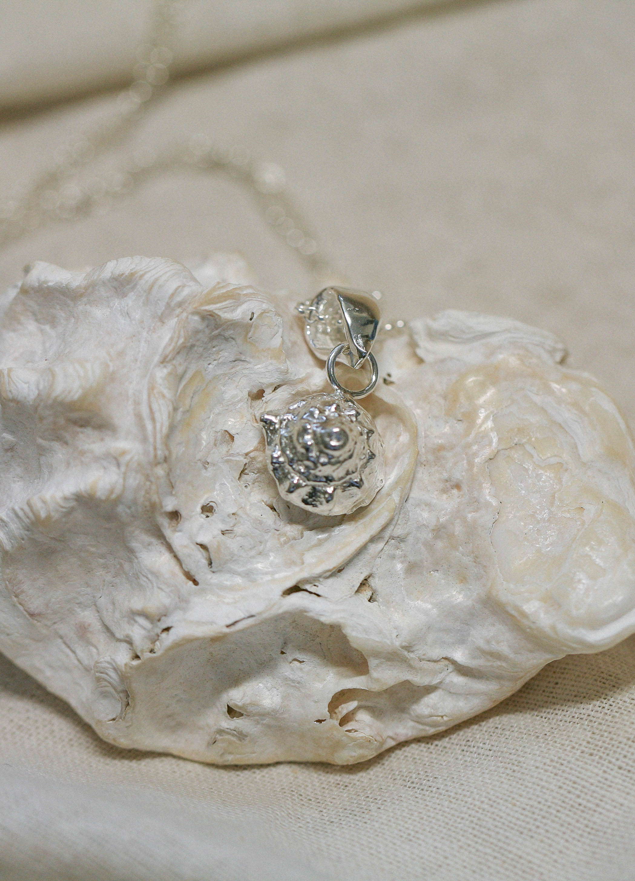 Collier coquillage bouton