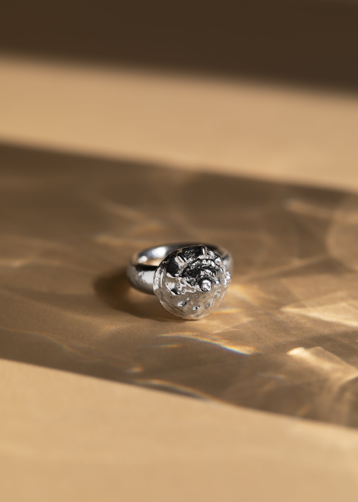 Button shell ring