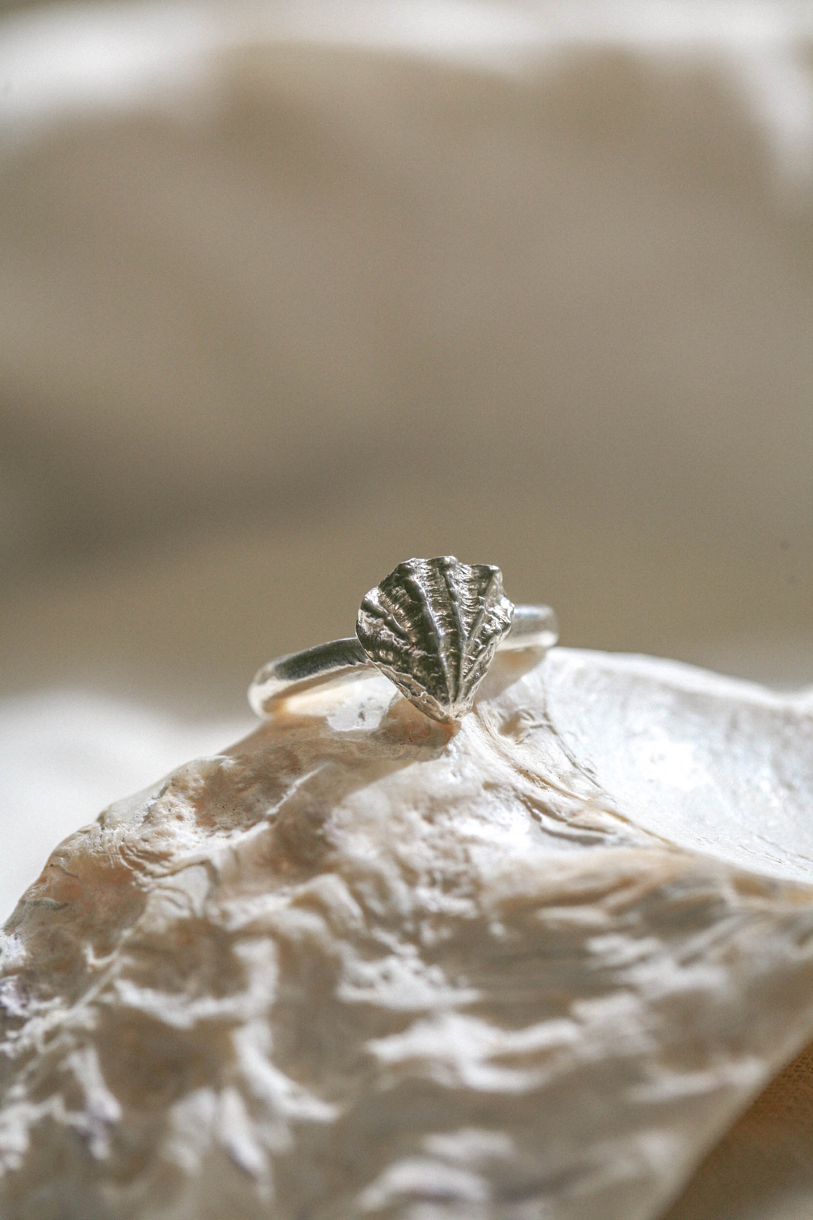 Bague sous l'océan