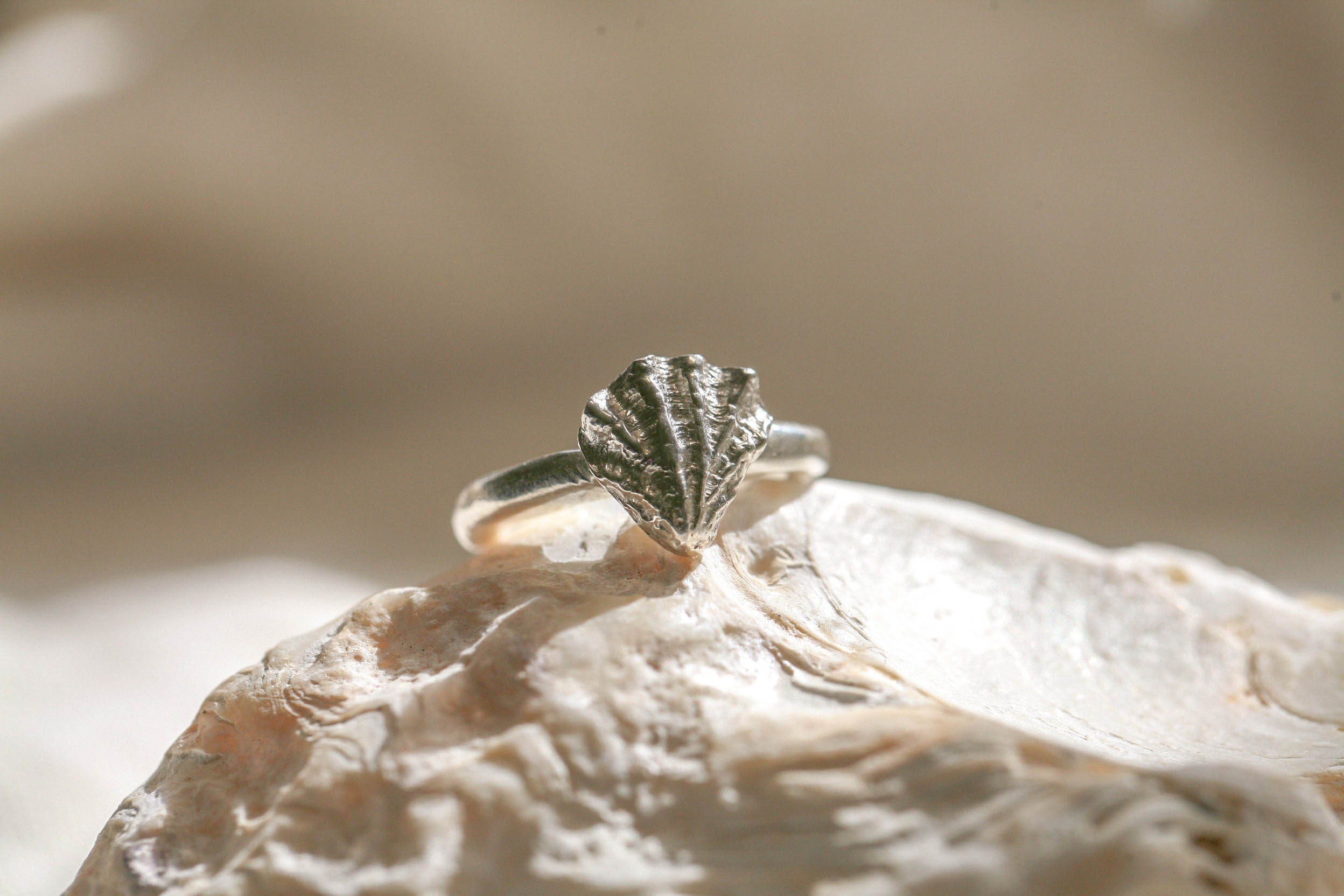 Bague sous l'océan