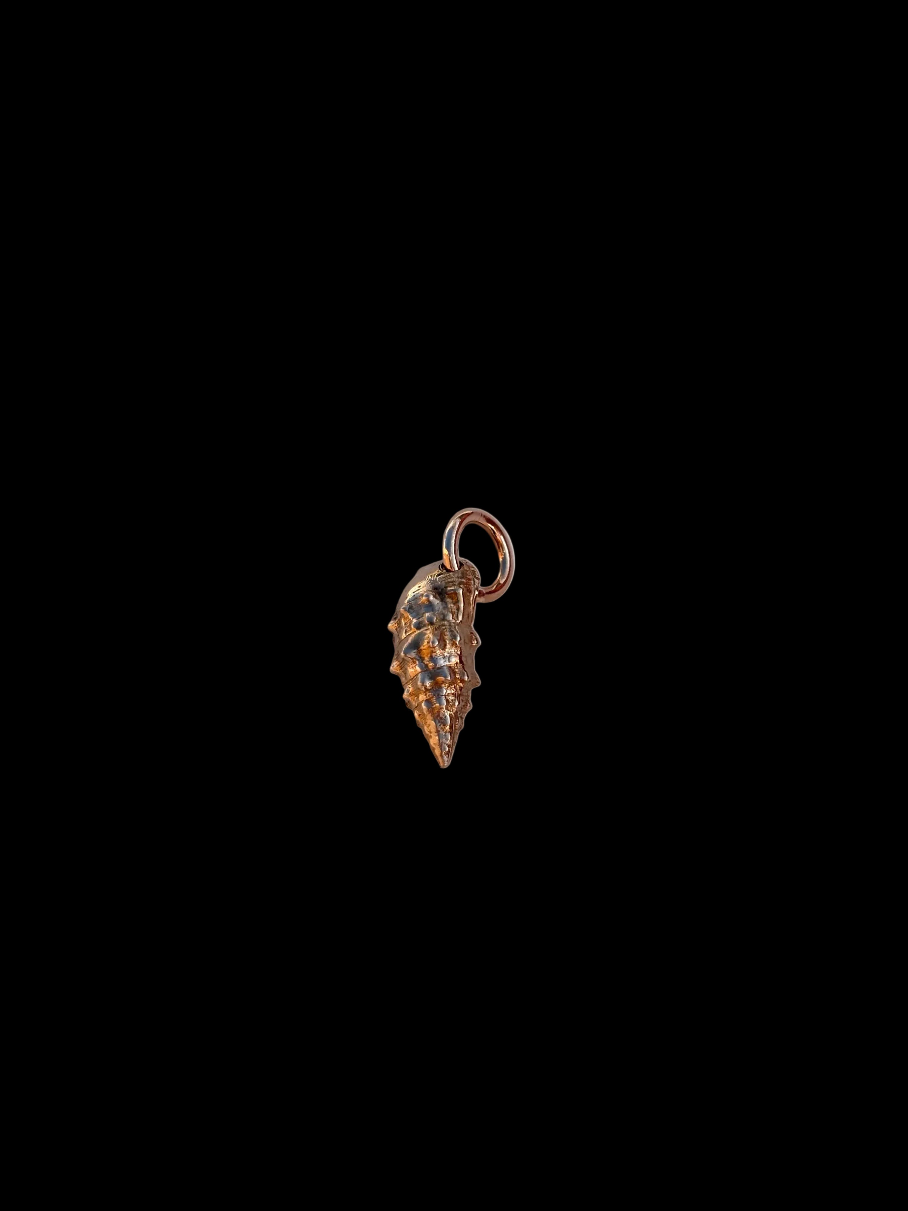 Seashell charms