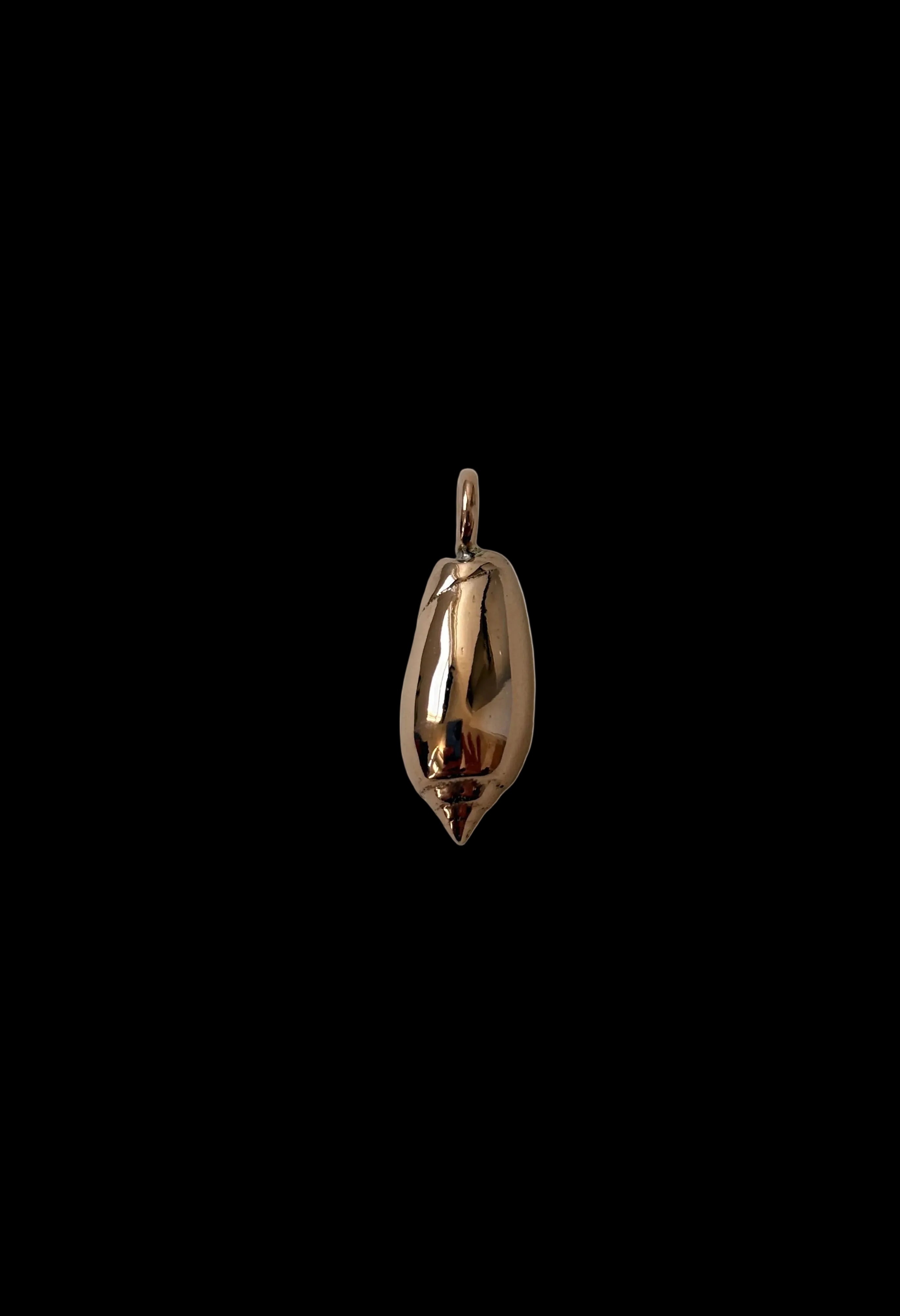 Seashell charms