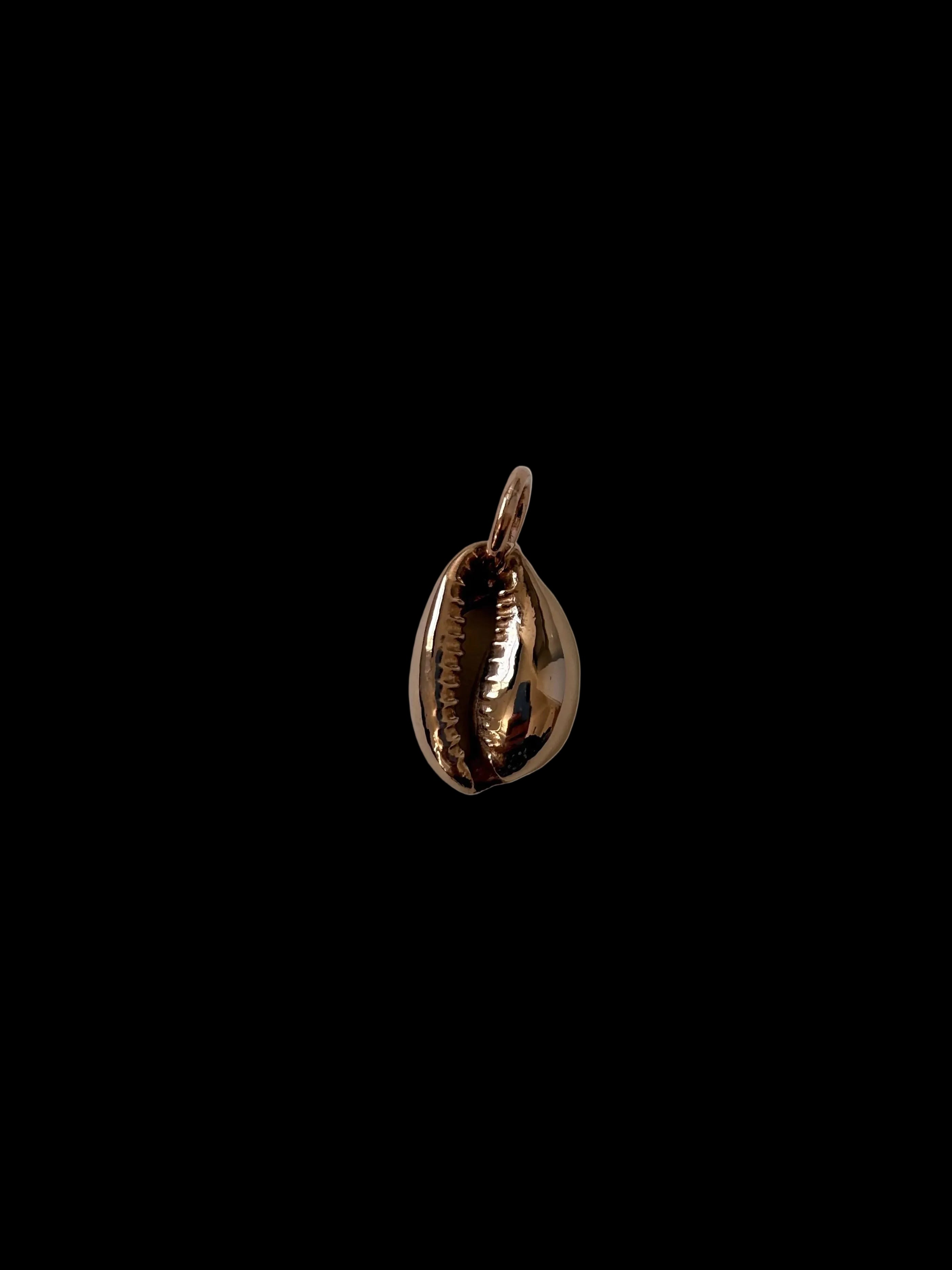 Seashell charms