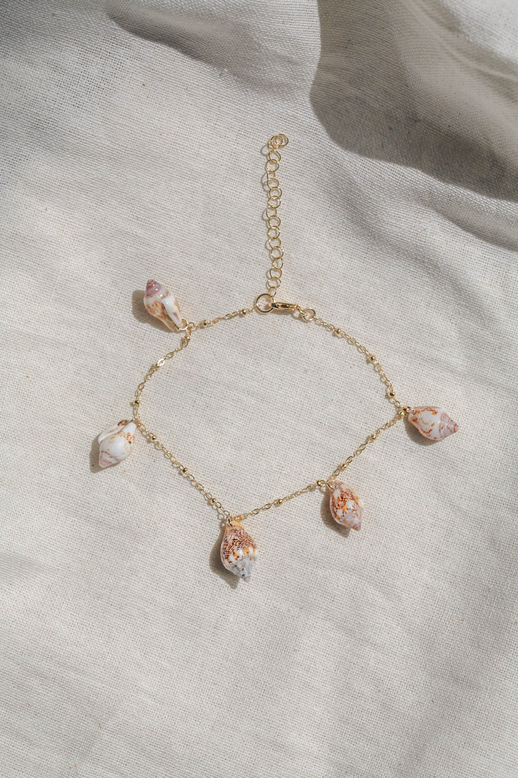 Seashell anklets